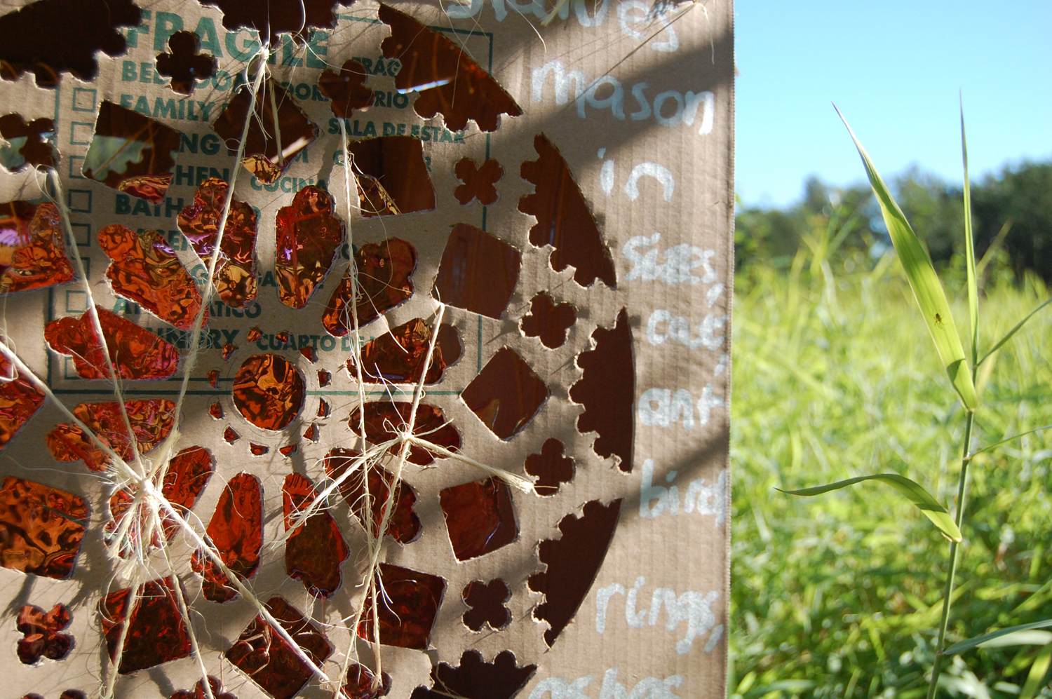 An Insurable Disaster 4