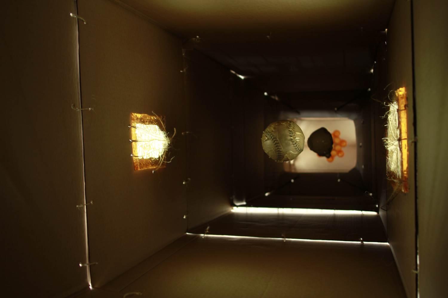 An Insurable Disaster 5