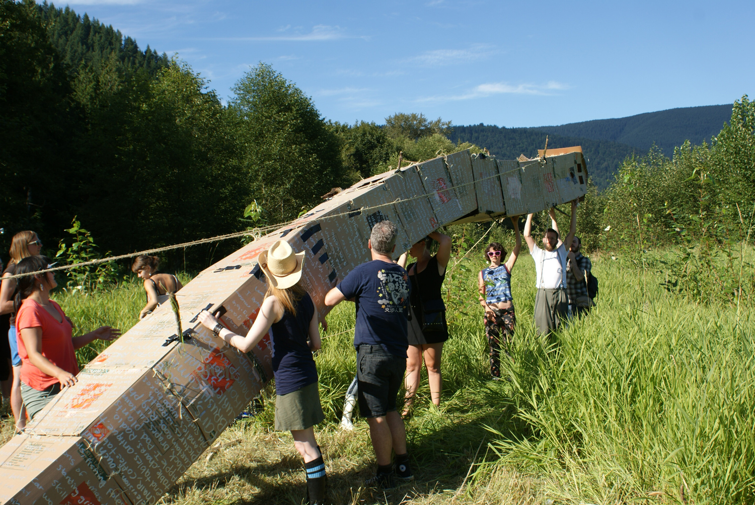 An Insurable Disaster 1