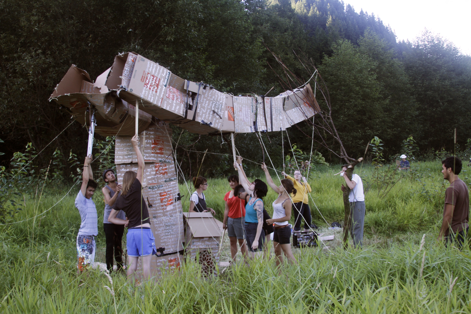 An Insurable Disaster 1