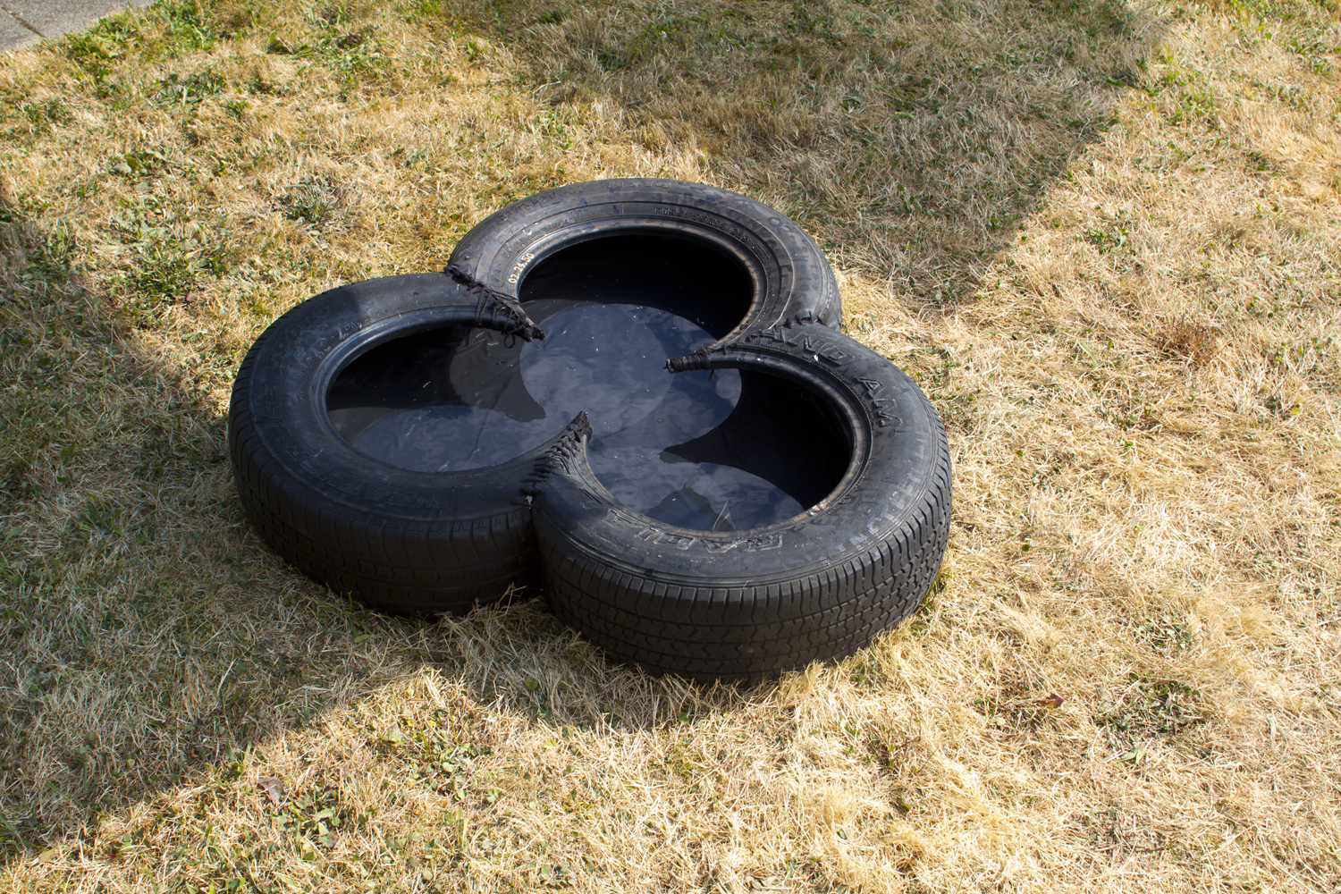 Tarpaulin Sky (part i, ii) 5