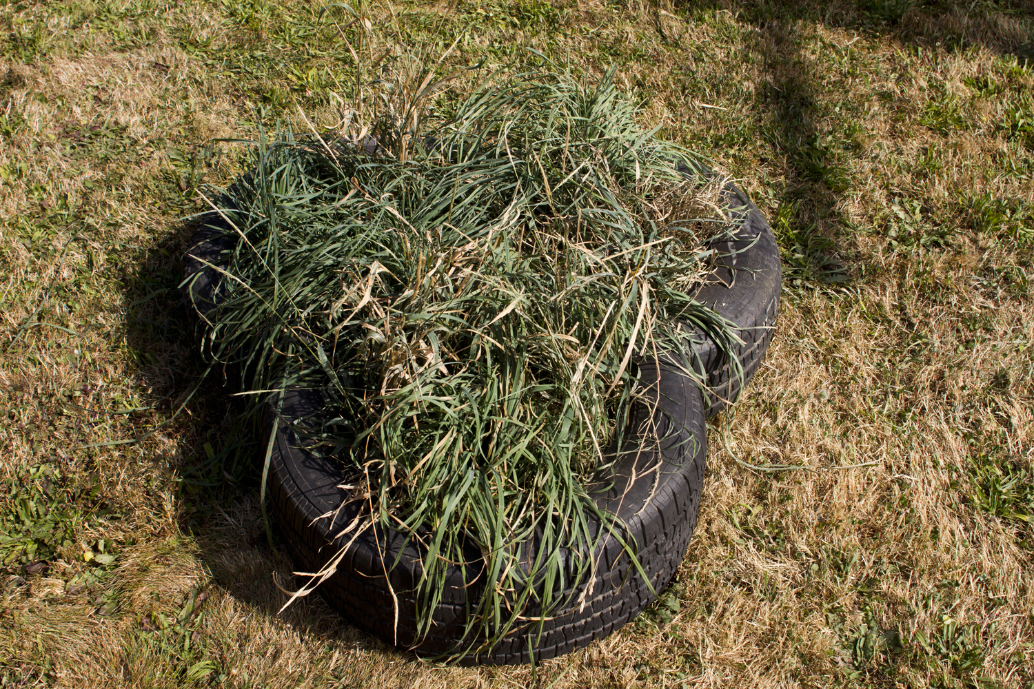 Tarpaulin Sky (part i, ii) 6