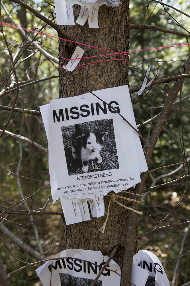 Emotional Obstacle Course #1 2