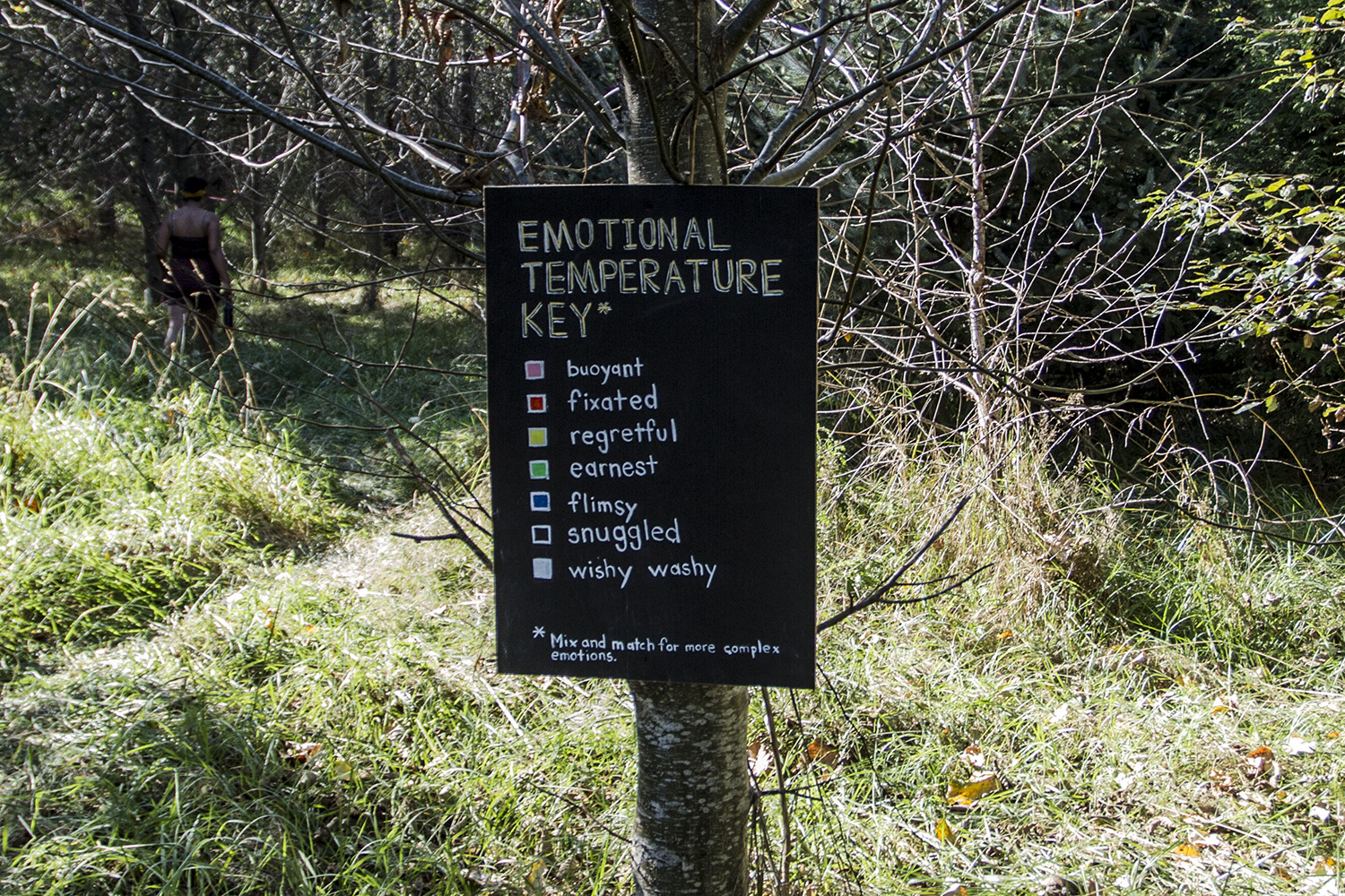 Emotional Obstacle Course #1 1
