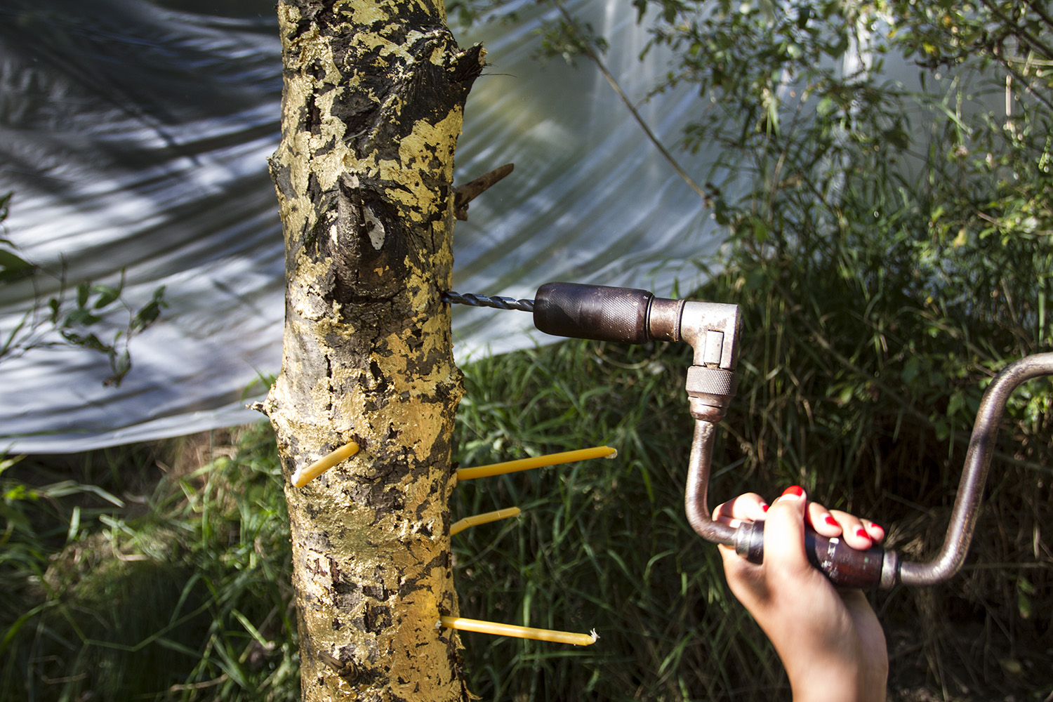 Emotional Obstacle Course #1 5