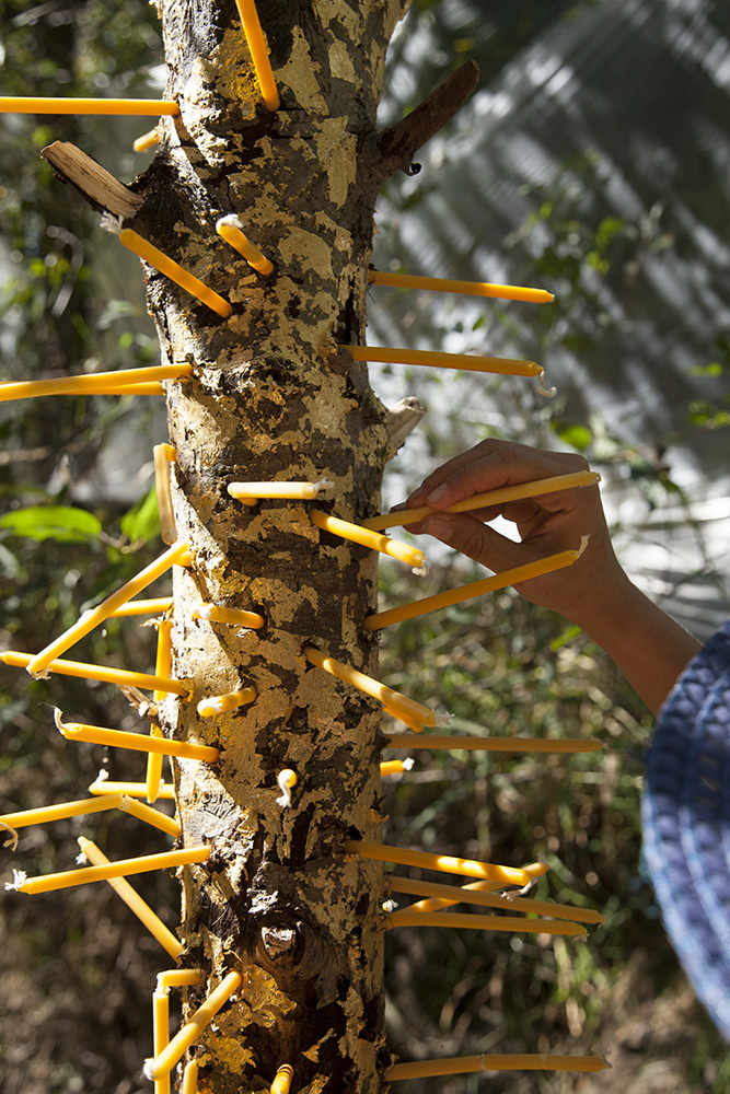 Emotional Obstacle Course #1 1